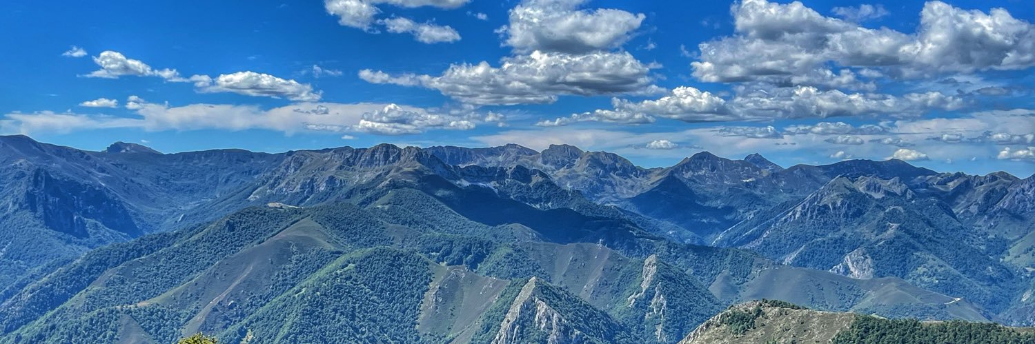 rakelilla79's profile banner image