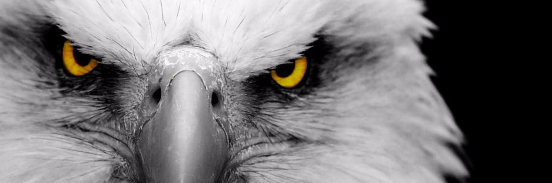 navin_83's profile banner image