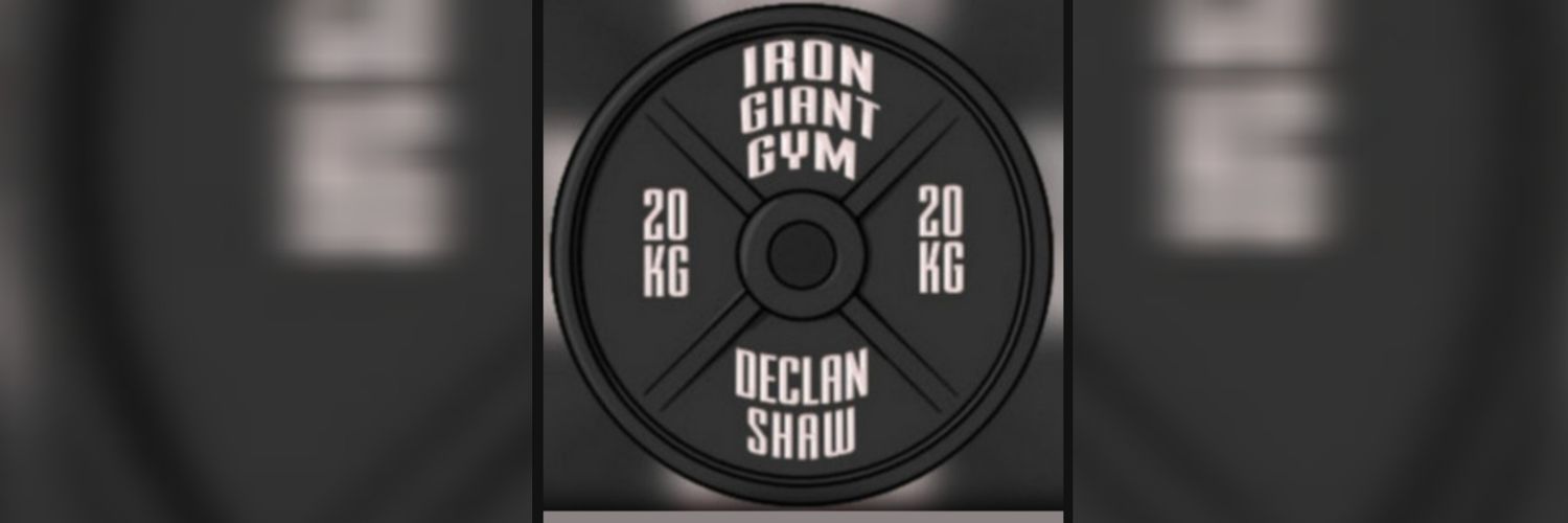 dsIronGiant's profile banner image