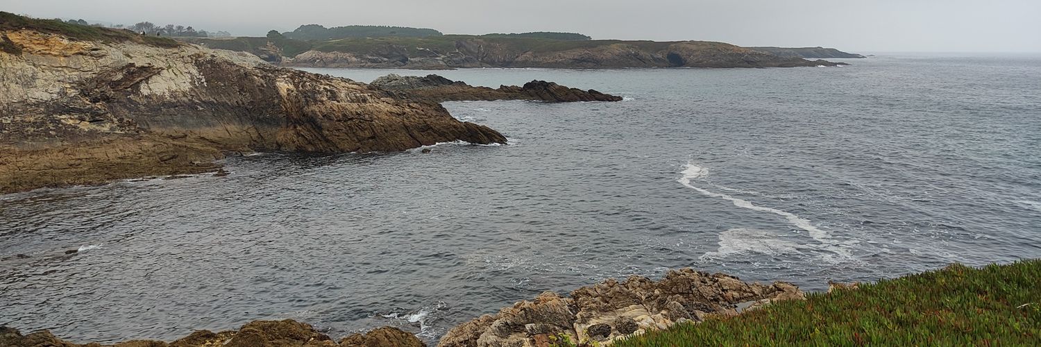 Suly_🇪🇸 banner