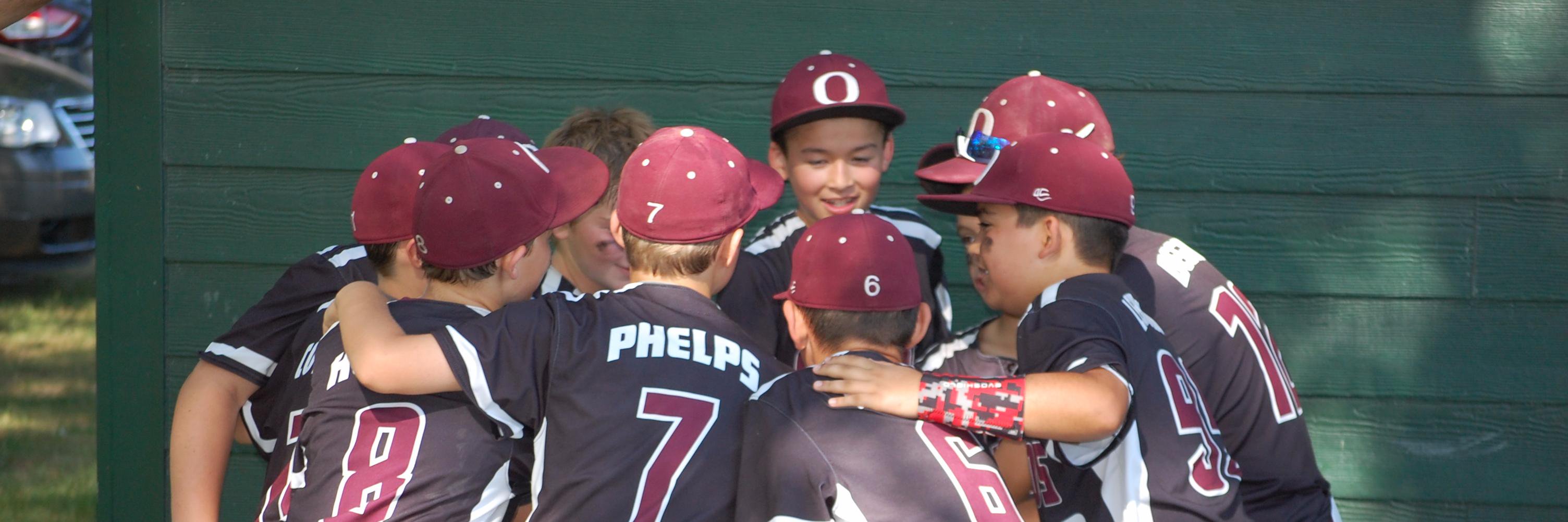 Okemos Baseball Club banner