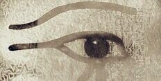 Bi banner