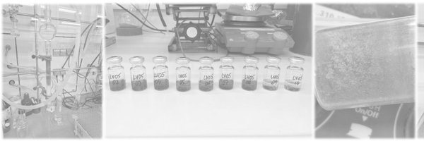 Casadevall_Lab Profile Banner