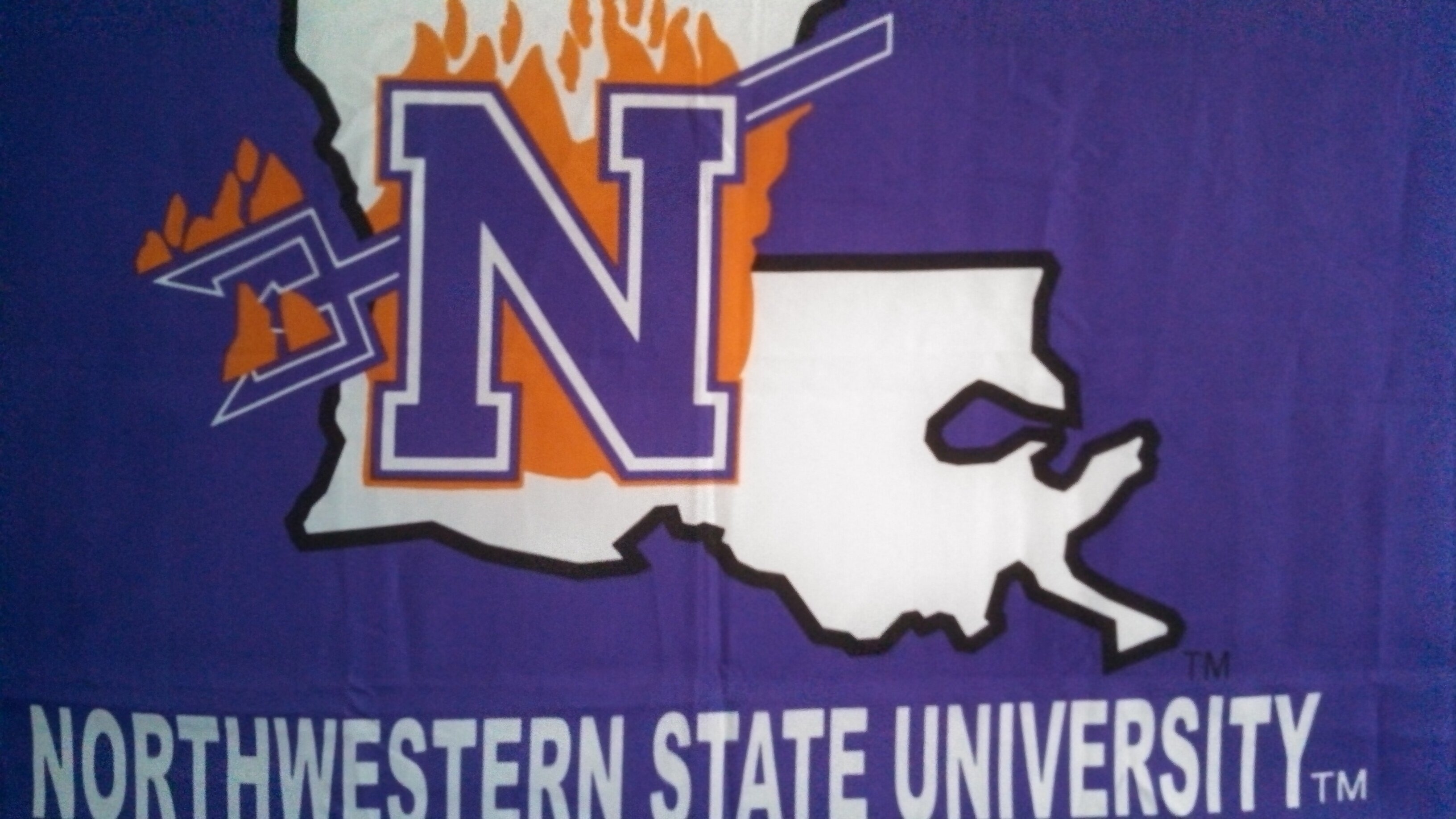 thensusquirrel's profile banner image
