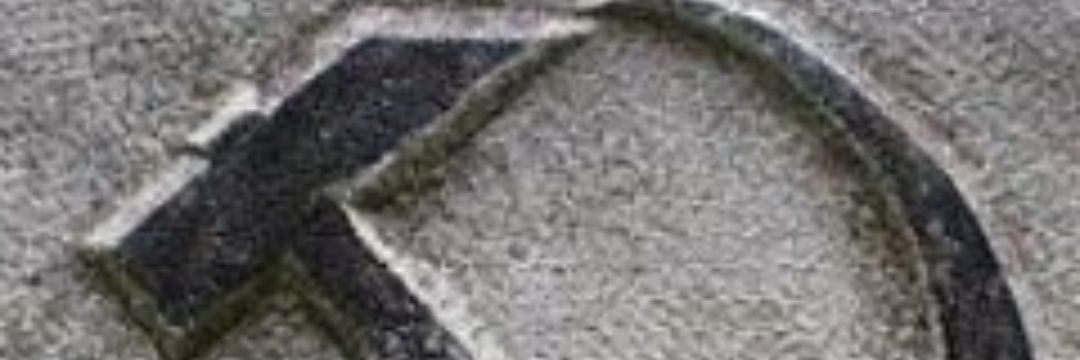 comunavix's profile banner image