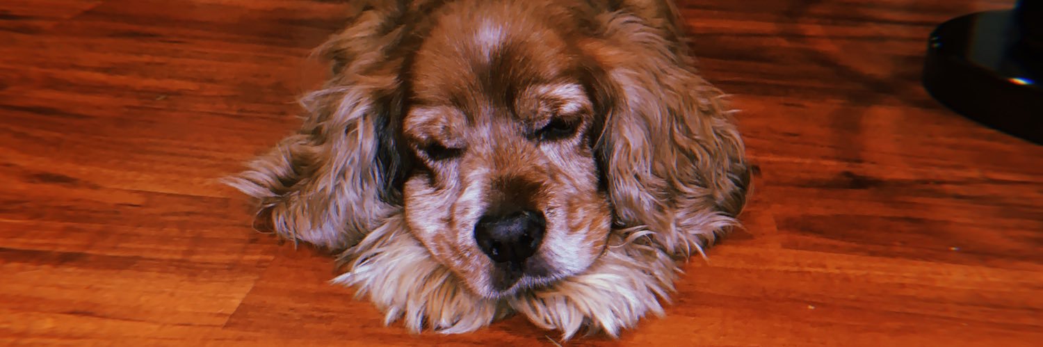 oneofnone310's profile banner image