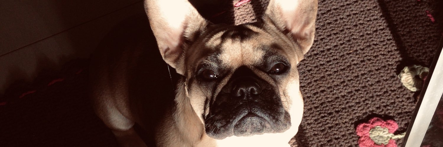 souusamanda's profile banner image