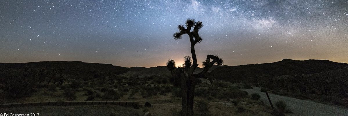 Kelly__Cardozo's profile banner image