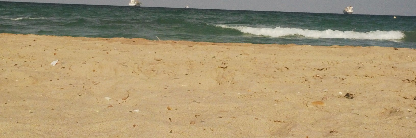 cuarteman's profile banner image
