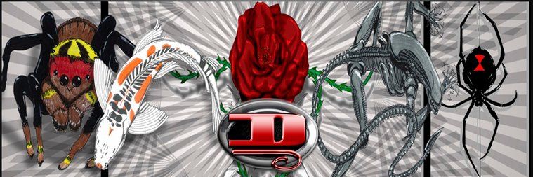 DmNerdArtist's profile banner image
