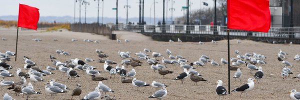 cawcawmrade Profile Banner