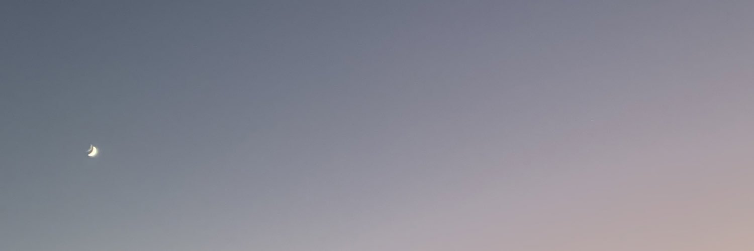 Jenny Xie banner