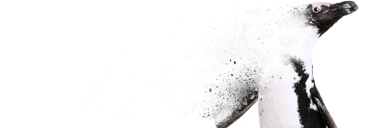 APNotOnOurWatch's profile banner image