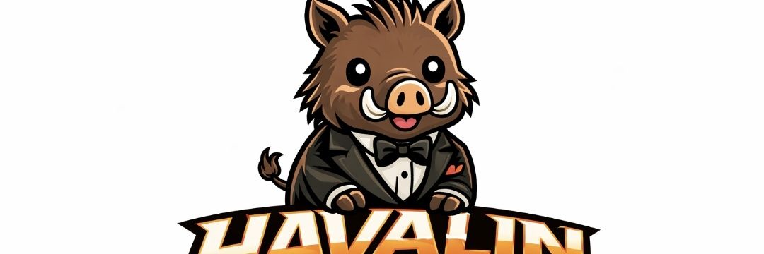 ElHavalin's profile banner image