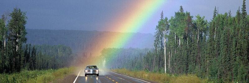 Denise Catherine banner