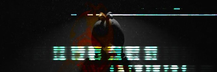 🐧🐧Pingukii🐧🐧 banner