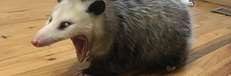 jamesvHhH's profile banner image