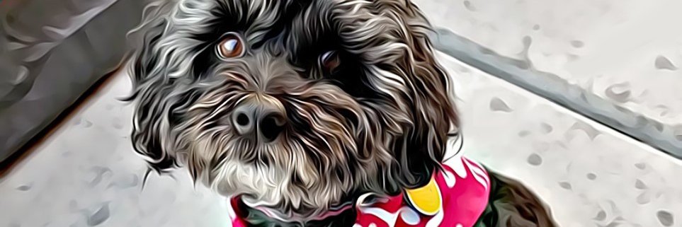 ABadCommunist's profile banner image