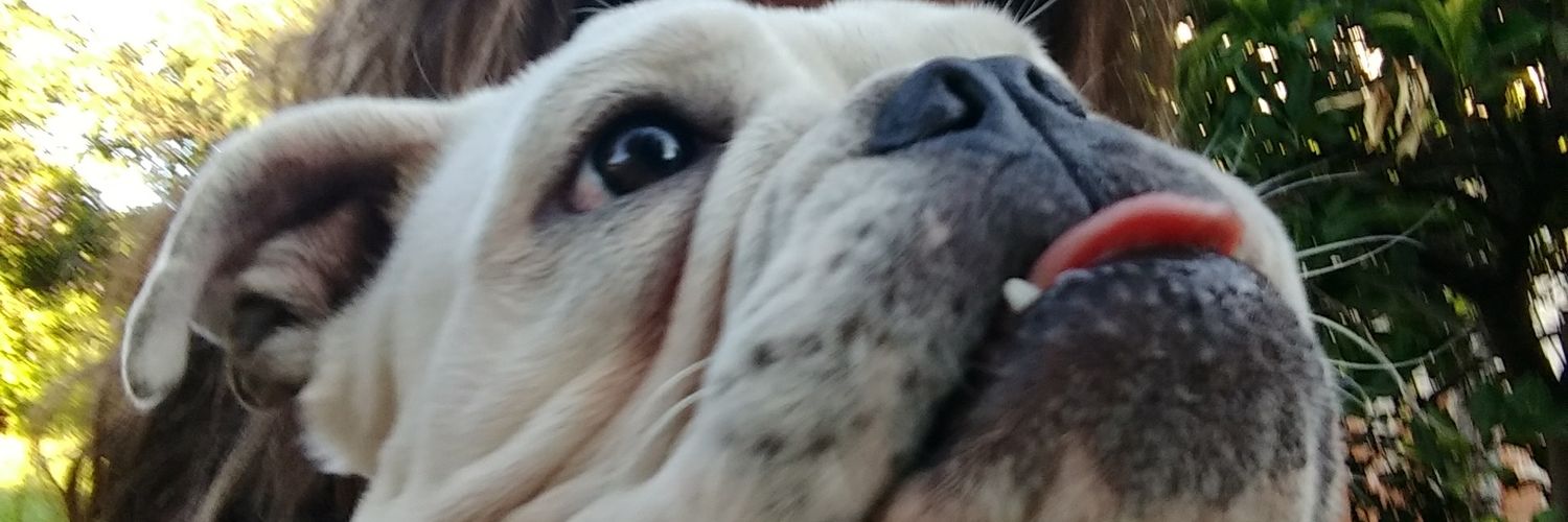 AgosMarinelli's profile banner image