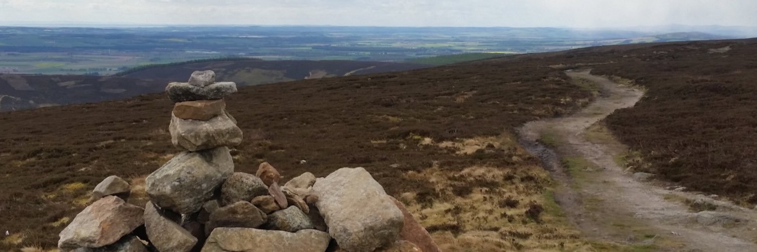 Bex banner