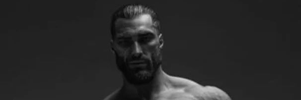 Moderation For Dummies 3 banner