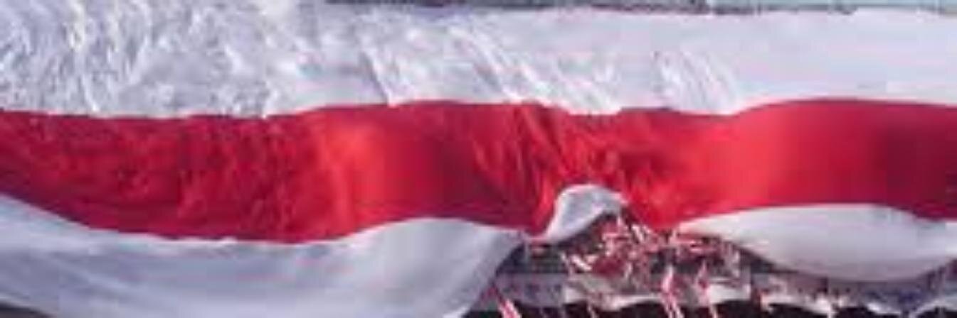 gusta_l's profile banner image