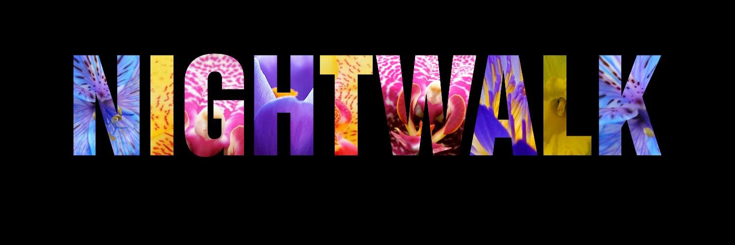 NightwalkEvents's profile banner image