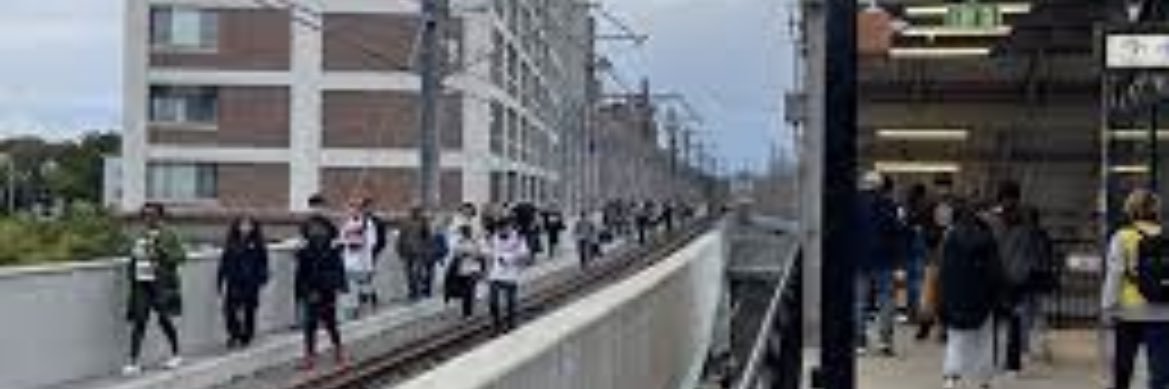 MBTA (Parody) banner