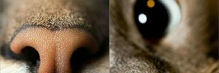 Aguuslenarduzz1's profile banner image