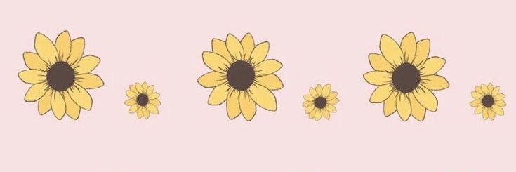 andreeamiranda's profile banner image