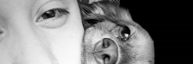 cesiaselan's profile banner image