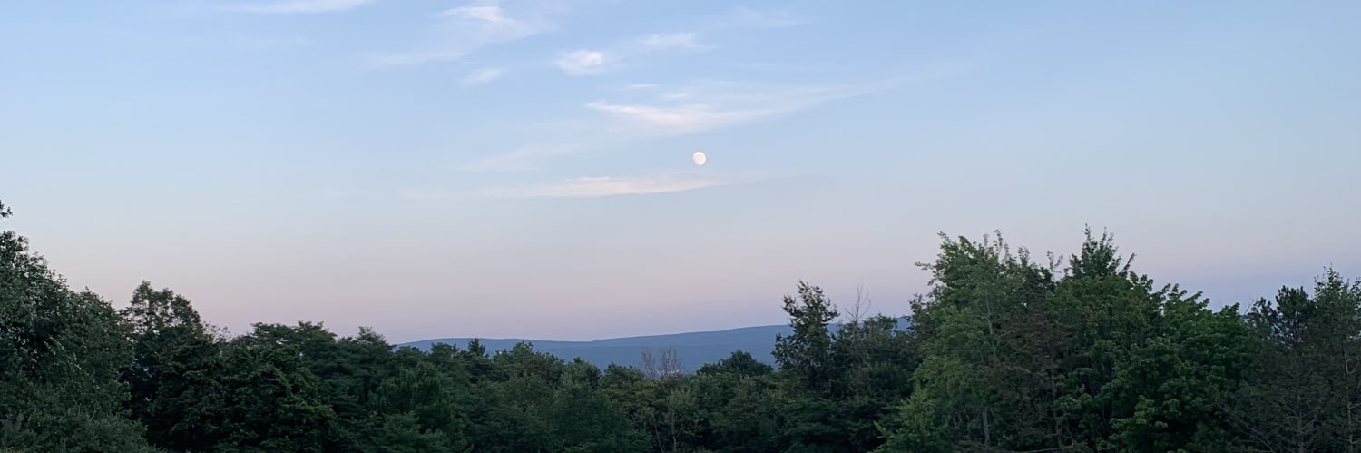 elamb390's profile banner image