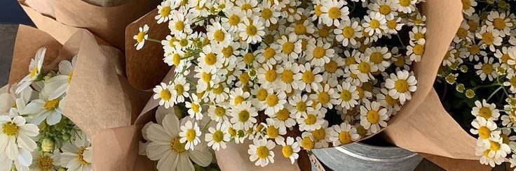 naimajann_'s profile banner image