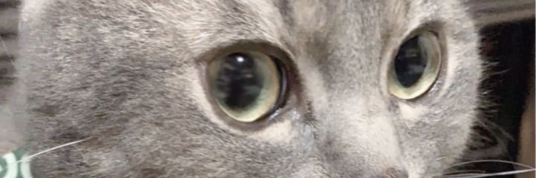 defxing99's profile banner image