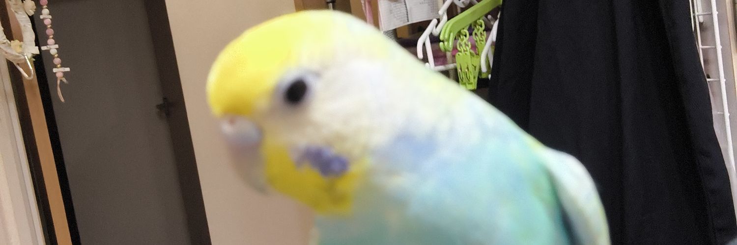 LoveryReo's profile banner image