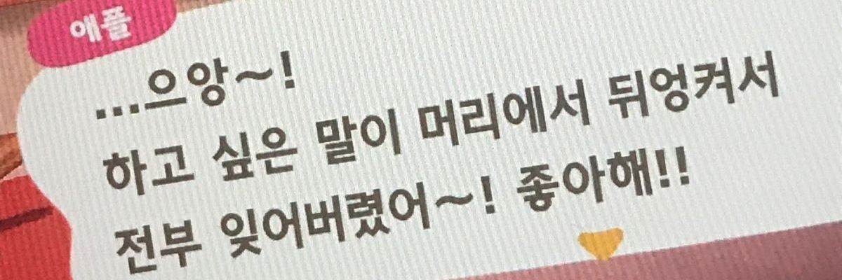 카토 banner