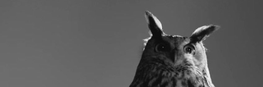 _MichaaelOTW's profile banner image