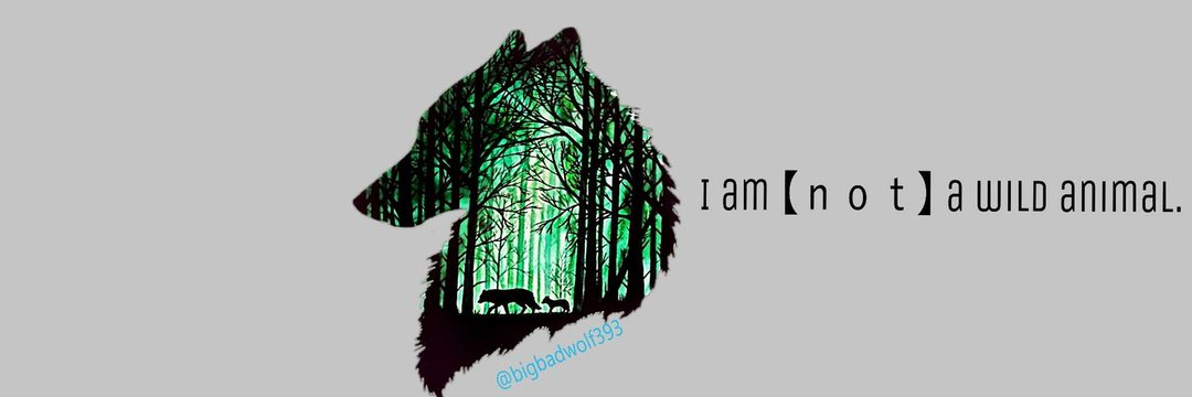 PureBloodWolf93's profile banner image