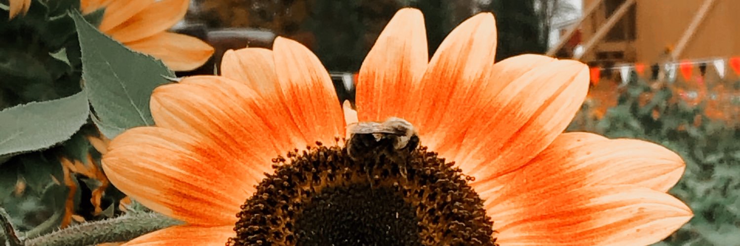 ForTheLoveee's profile banner image