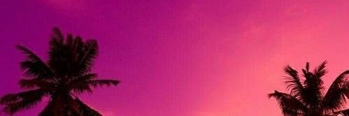 elena_cdm's profile banner image