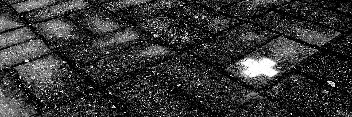 SalmonStudio's profile banner image