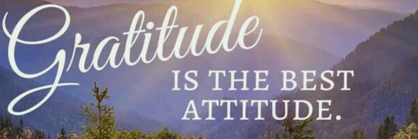 RoseAnnPatt's profile banner image