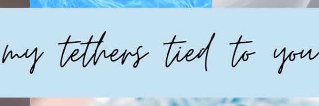 Cerulean1D's profile banner image