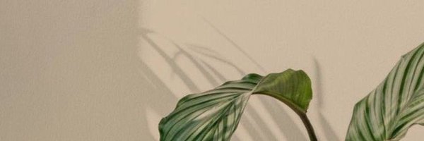 Shrhdd3 Profile Banner