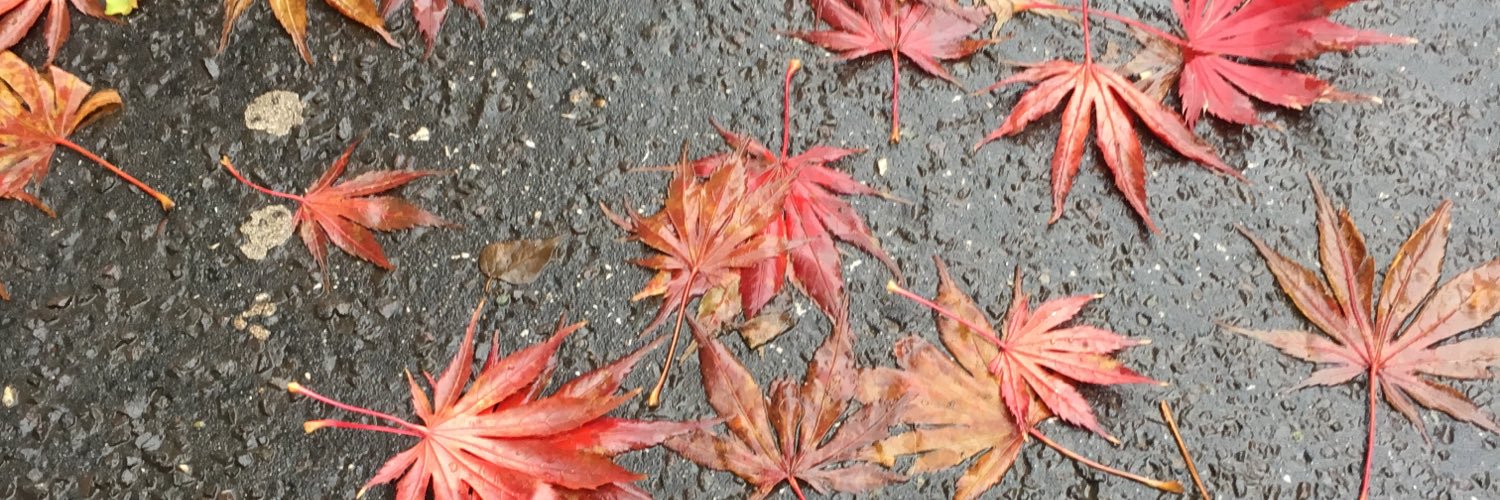 JessOpps's profile banner image