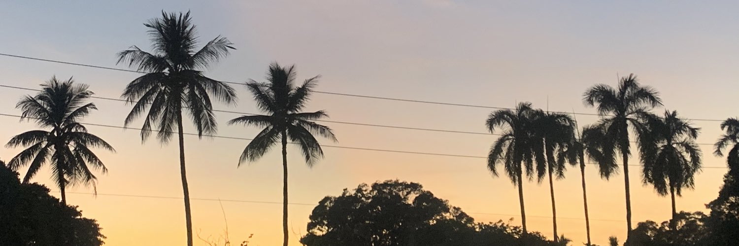 SpeakingSleepy's profile banner image