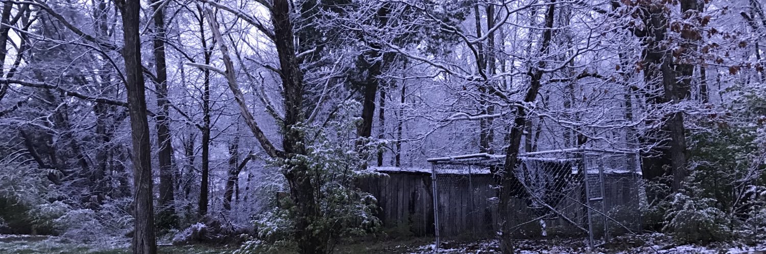 brianbelser's profile banner image