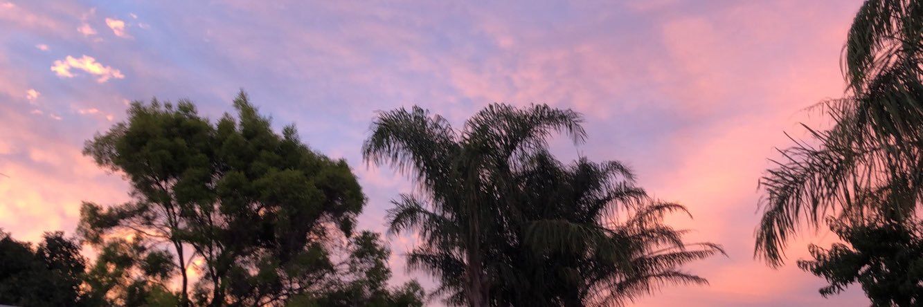 chloeexsmith's profile banner image