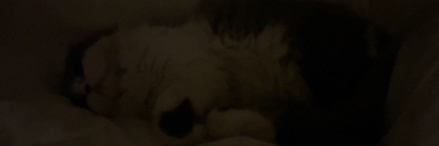 danilxx7's profile banner image