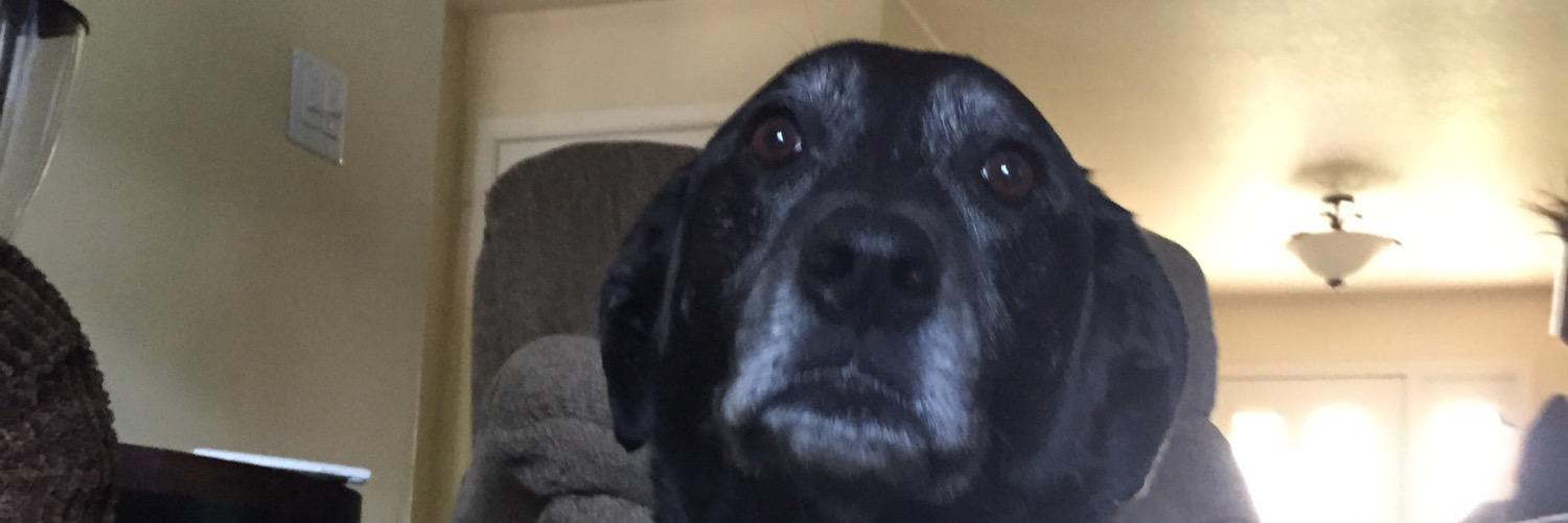 VetorJake's profile banner image